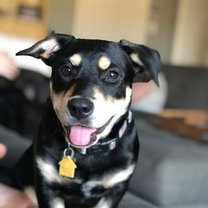 Meet your Posher, Brooke